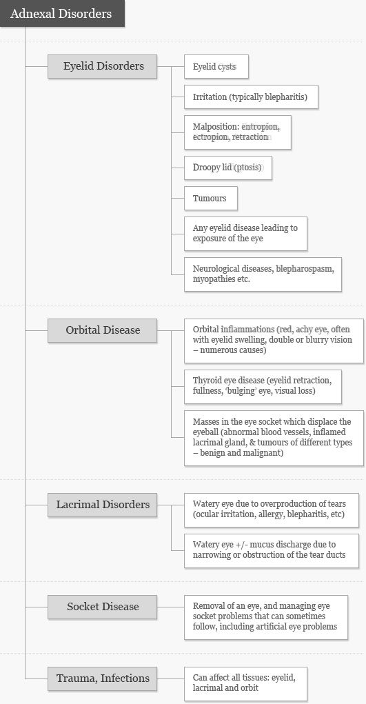 adnexal-disorders-diagram-2